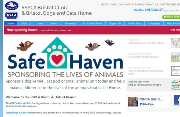 Bristol Dogs and Cats Home