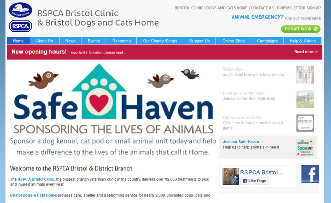 Bristol Dogs and Cats Home