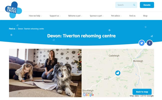 tiverton blue cross dogs