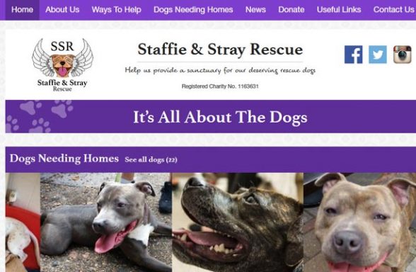 Staffie and Stray Rescue