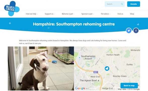 Blue Cross Southampton Rehoming Centre in Blue Cross