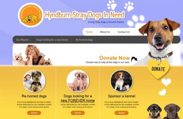 Hyndburn Straydogs in Need