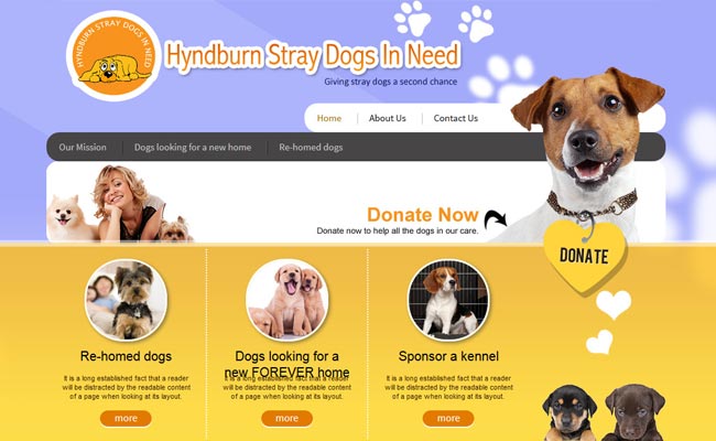 Hyndburn Straydogs in Need