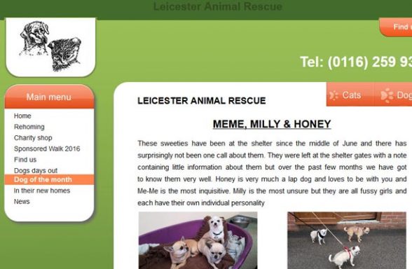 Leicester Animal Rescue