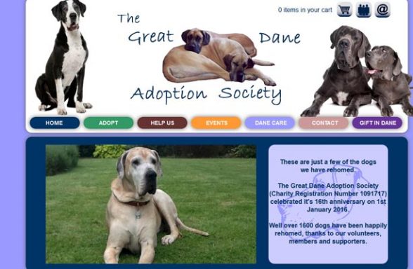 Great Dane Adoption Society