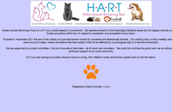 Dog Rescue Organisations Find a local dog rescue group