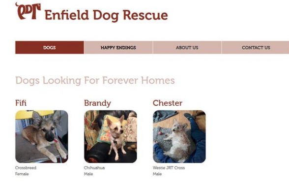 Enfield Dog Rescue