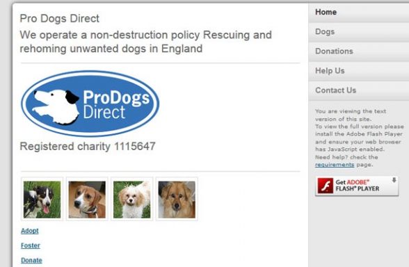Pro Dogs - Direct Re-Homing