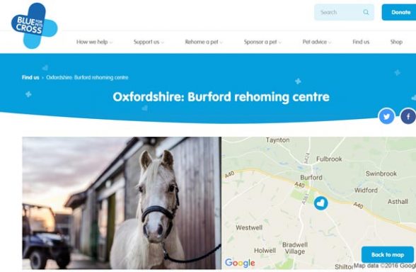 Blue Cross Rehoming Service