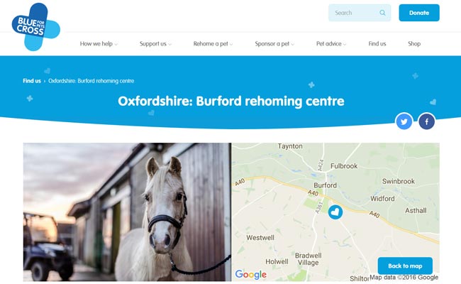 Blue Cross Rehoming Service