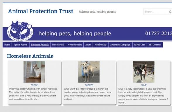 Animal Protection Trust