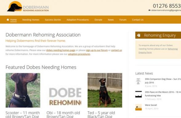Doberman Rehoming Association