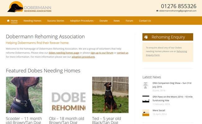 Doberman Rehoming Association