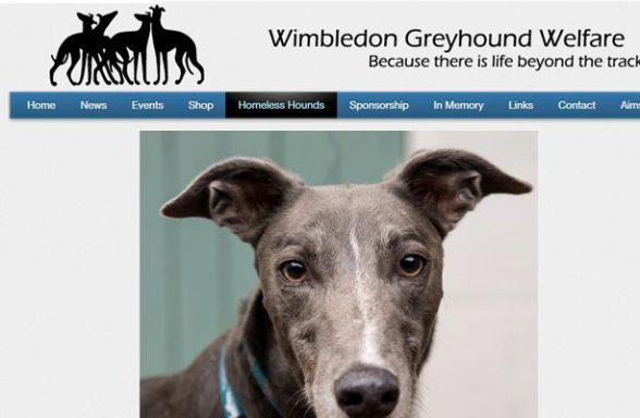 Wimbledon Greyhound Welfare