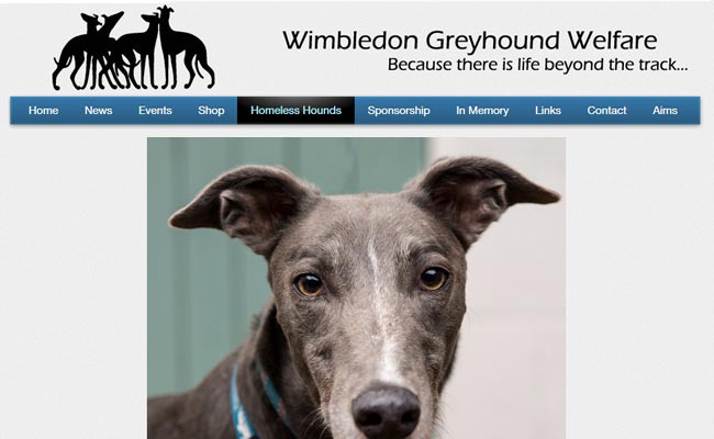 Wimbledon Greyhound Welfare