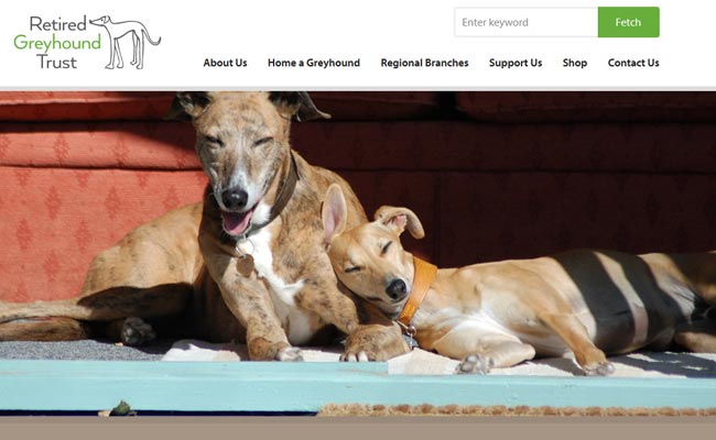 The Retired Greyhound Trust