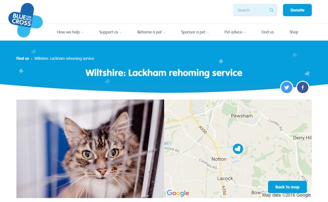 Blue Cross Rehoming Service