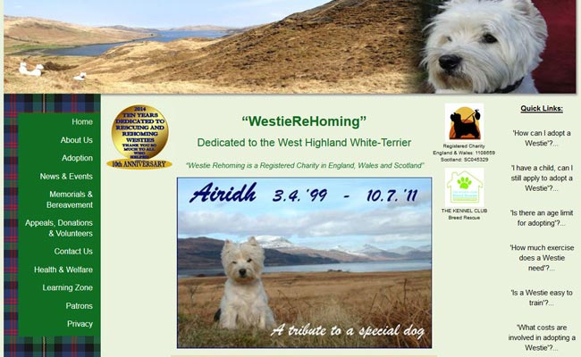 Westie ReHoming