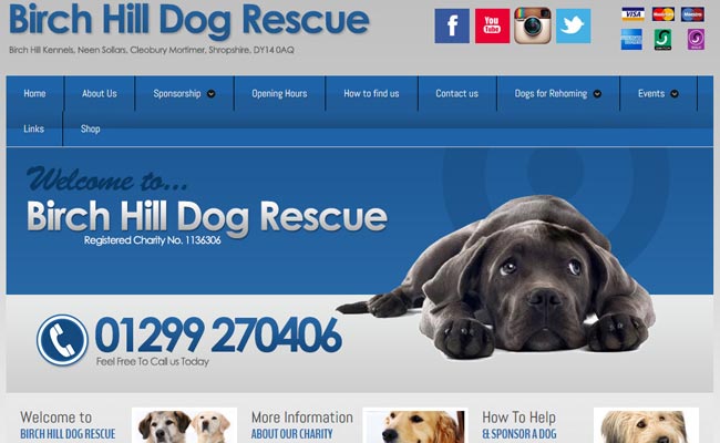 Birch Hill Dog Rescue