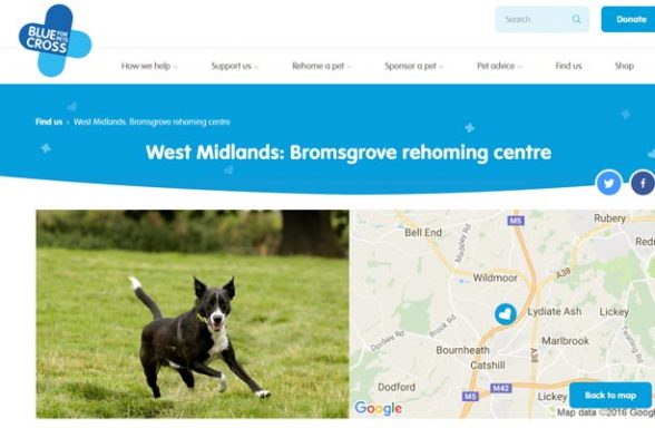 Blue Cross Rehoming Centre