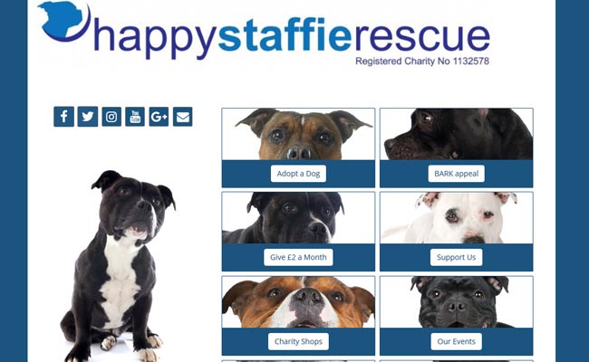 Happy Staffie Rescue