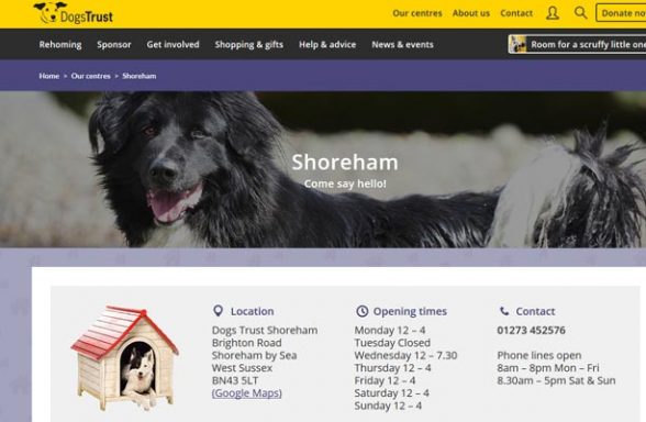 Dog Rescue Organisations Find a local dog rescue group
