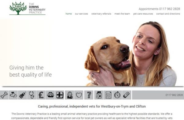 The Downs Veterinary Practice in The Downs Veterinary Practice
