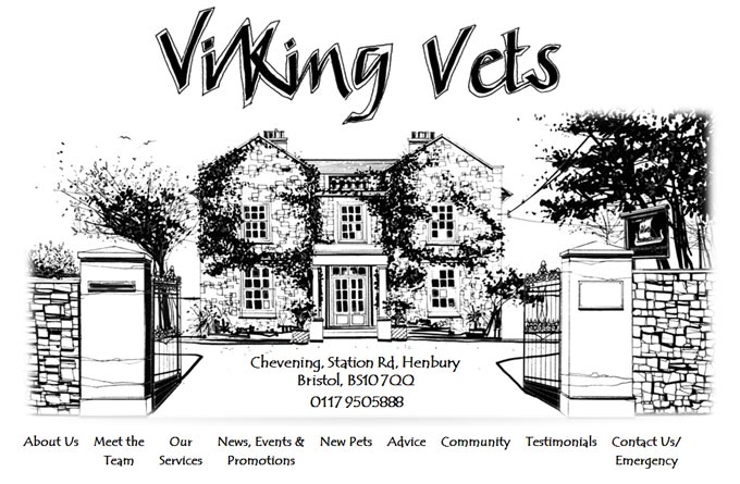 Viking Veterinary Surgeons