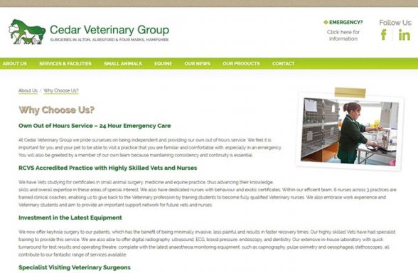 Clifton Veterinary Surgery