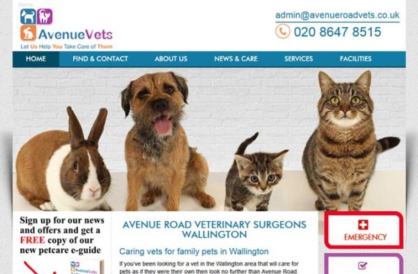 Avenue Road Veterinary Surgery in Avenue Road Veterinary Surgery