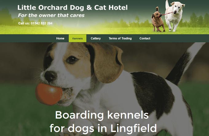Little Orchard Dog and Cat Hotel