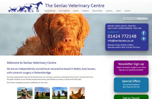 Senlac Veterinary Practice